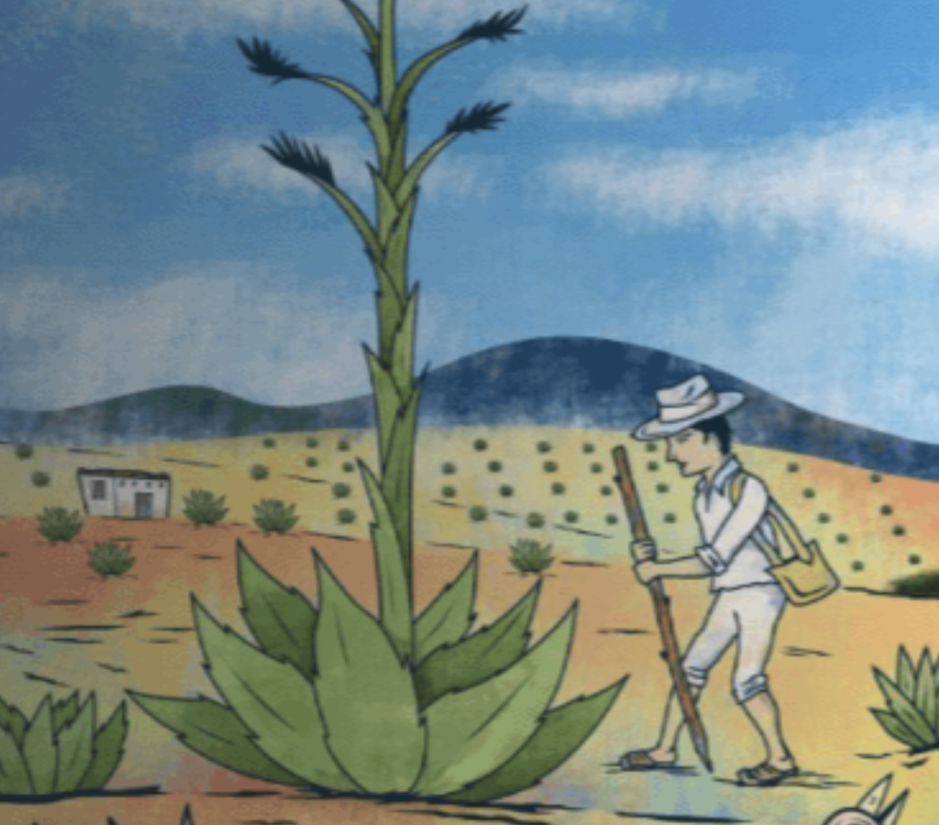 Alternativas y Capacidades